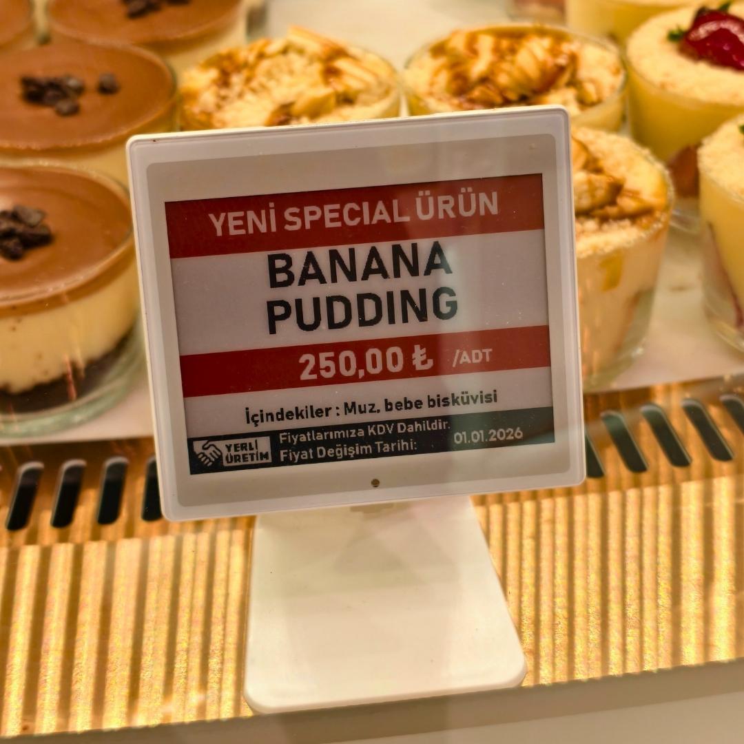 4.20" ELECTRONIC SHELF LABEL